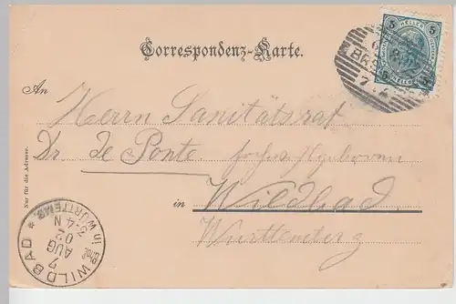 (90543) AK Bregenz, Totale, 1902