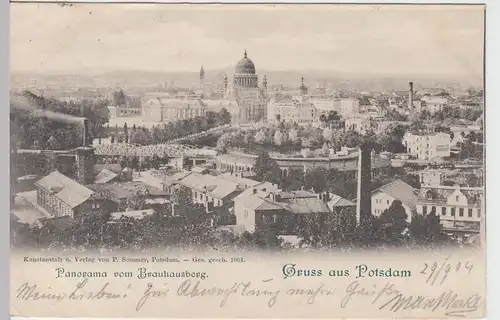 (90454) AK Gruss aus Potsdam, Panorama vom Braunhausberg, 1904