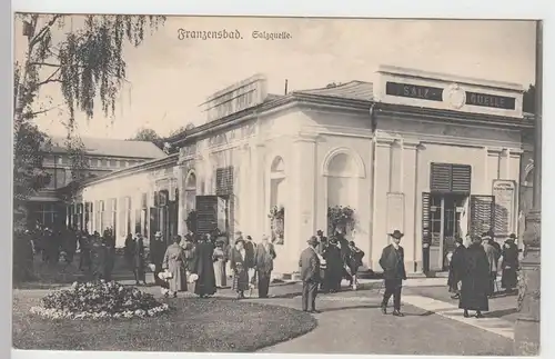 (89243) AK Franzensbad, Františkovy Lázně, Salzquelle 1924