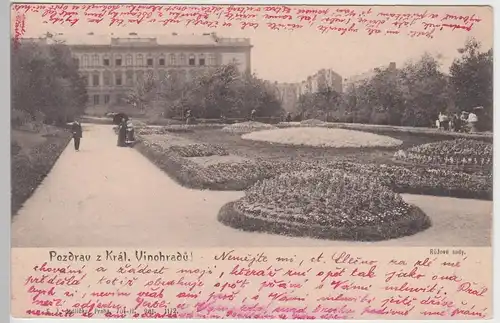 (89231) AK Prag, Praha, Královské Vinohrady, Königliche Weinberge 1905