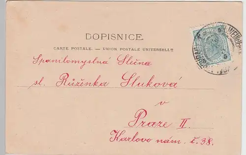 (89231) AK Prag, Praha, Královské Vinohrady, Königliche Weinberge 1905