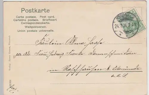 (88386) AK Pößneck, Gesamtansicht 1904