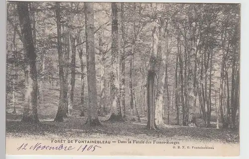 (88208) AK Forêt de Fontainebleau, Dans la Futaie des Fosses-Rouges, vor 1945