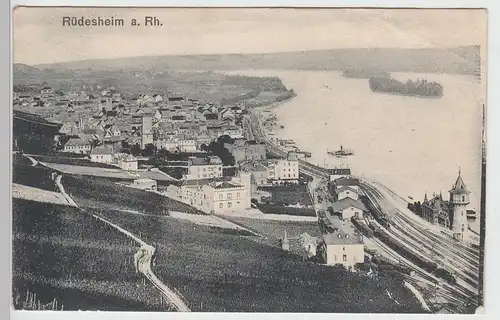 (87978) AK Rüdesheim a.Rh., Gesamtansicht 1908