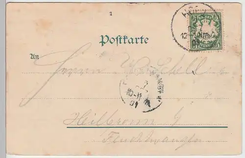 (87463) AK Gruss aus Hof, Panorama 1901