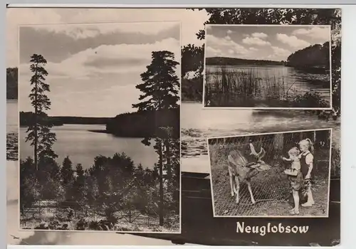 (86673) AK Neuglobsow, Nemitz-See, Dagow-See 1966