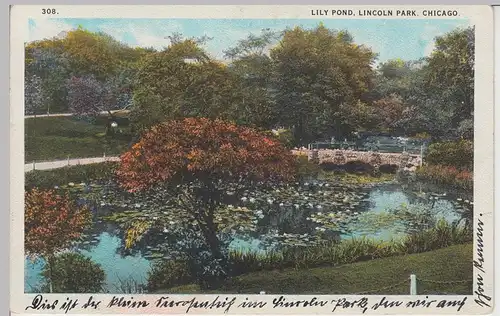 (85623) AK Chicago, Lincoln Park, Lily Pond, um 1927