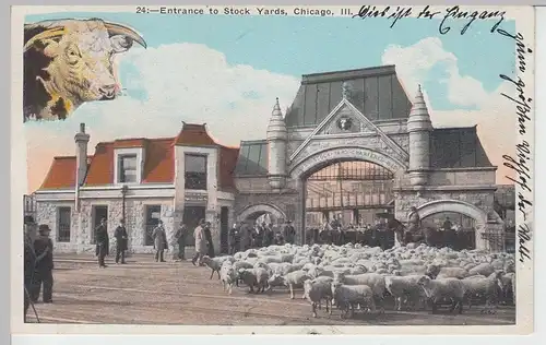 (85617) AK Chicago, Entrance to Stockyards, um 1927