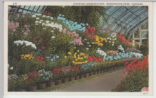 (85590) AK Chicago, Washington Park, Interior Conservatory, um 1927