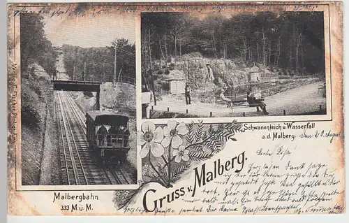 (84753) AK Gruss vom Malberg, Malbergbahn u. Schwanenteich, 1900