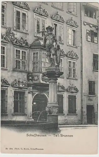 (83845) AK Schaffhausen, Tellbrunnen, bis um 1905