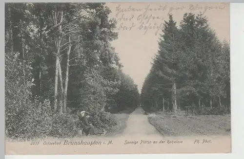 (83674) AK Ostseebad Brunshaupten, Sonnige Plätze a.d. Rehwiese, 1918