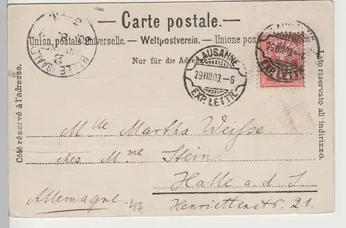 (81534) AK Lausanne, Gesamtansicht, 1903