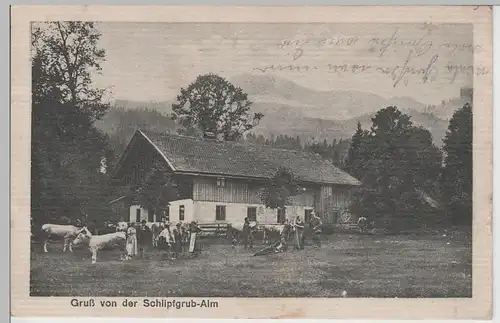 (80968) AK Gruß von der Schlipfgrub-Alm, 1920er