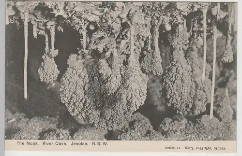 (80642) AK Jenolan Caves, The Mops, vor 1945