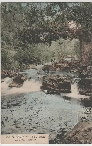 (80565) AK Sart Lez Spa, La Hoègne, Le chene rustique, 1909