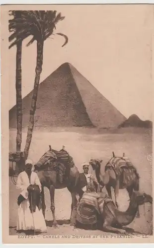 (80555) AK Ägypten, Camels and Drivers at the Pyramids, vor 1945