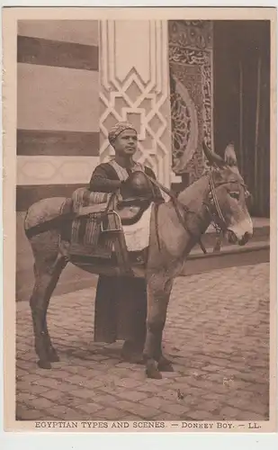 (80554) AK Ägypten, Types and Scenes: Donkey Boy, vor 1945