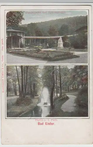 (80082) AK Bad Elster, Wandelbahn u. Partie a.d. Park, 1903