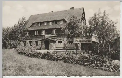 (80014) AK Waldidylle, FDGB-Erholungsheim "Falkenhorst" 1966