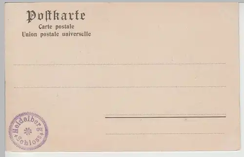 (79630) AK Heidelberg, Schloss v.d. Hirschgasse gesehen, bis 1905