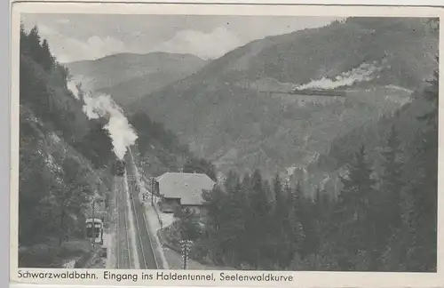 (79399) AK Schwarzwaldbahn, Eingang Haldentunnel, Seelenwaldkurve