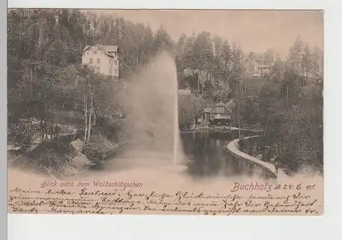 (79274) AK Buchholz, Blick nach dem Waldschlösschen 1901