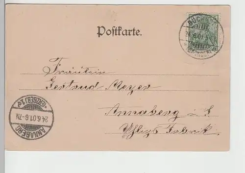(79274) AK Buchholz, Blick nach dem Waldschlösschen 1901