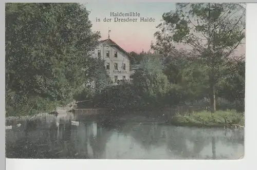 (79169) AK Dresden, Heidemühle, Dresdner Heide 1919