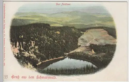 (78936) AK Gruss aus dem Schwarzwald, Feldsee, bis 1905