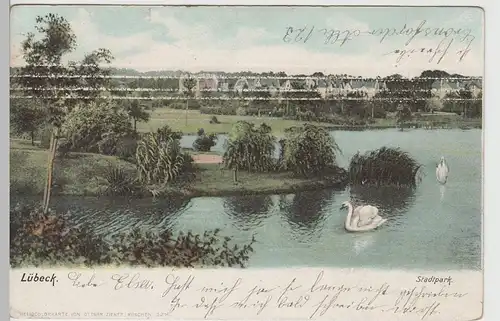 (78413) AK Lübeck, Stadtpark, 1906
