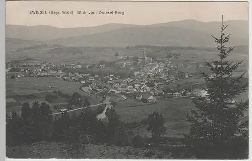(78327) AK Zwiesel, Blick vom Zwiesel-Berg, 1911