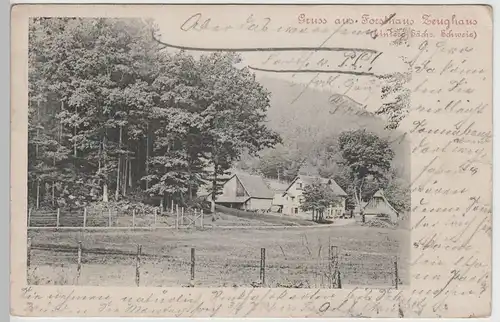 (77646) AK Sächsische Schweiz, Gruss aus dem Forsthaus Zeughaus, 1903