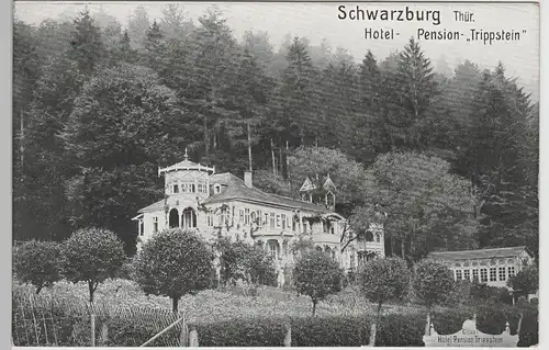 (77490) AK Schwarzburg, Hotel Pension "Trippstein", 1911