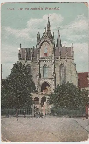 (77326) AK Erfurt, Dom mit Marienbild 1909