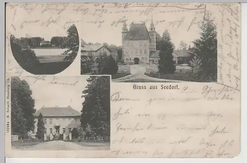 (76808) AK Gruss aus Seedorf (Segeberg), Mehrbildkarte 1909