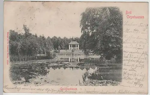 (76744) AK Bad Oeynhausen, Goldfischteich, 1902