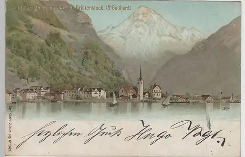 (76477) AK Flüelen, Urnersee, Panorama mit Bristenstock 1900