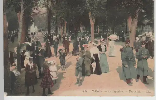 (76455) AK Nancy, La Pépinière, une Allée 1908