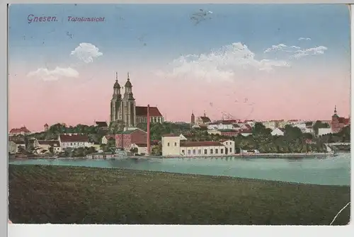 (76448) AK Gnesen, Gniezno, Panorama mit Kathedrale, Feldpost 1917