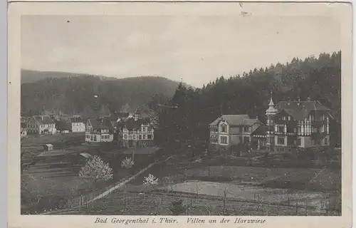 (76225) AK Georgenthal, Thür., Villen an der Harzwiese 1918