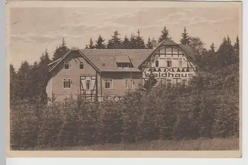 (76182) AK Benneckenstein, Harz, Hotel u. Pension Waldhaus 1927