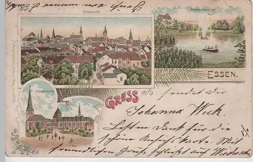 (76156) AK Gruß aus Essen, Ruhr, Stadtgartenteich, Münster, Litho um 1900