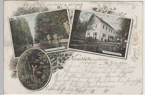 (76041) AK Forsthaus Vorsuchhütte am Großen Kornberg 1901