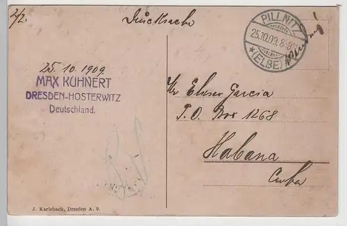 (75973) AK Dresden, Elbe, Damenbad, Altstadt 1909