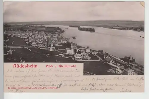 (75927) AK Rüdesheim am Rhein, Panorama, Blick vom Niederwald 1906