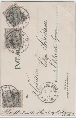 (75559) AK Hamburg, Rathaus 1902