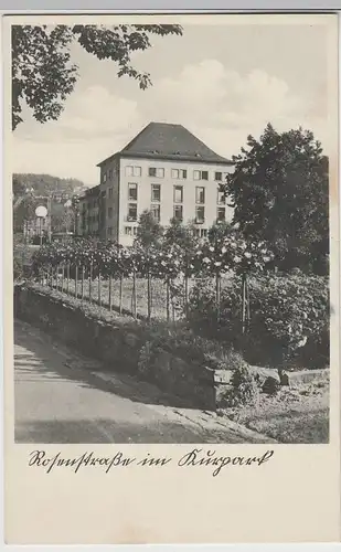 (75433) AK Oberschlema, Erzgeb., Rosen im Kurpark, vor 1945