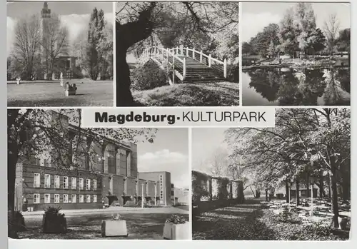 (75361) Foto AK Magdeburg, Kulturpark, Mehrbildkarte nach 1945