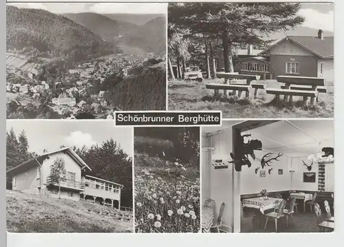 (75325) Foto AK Schönbrunner Berghütte (Thüringer Wald), DDR